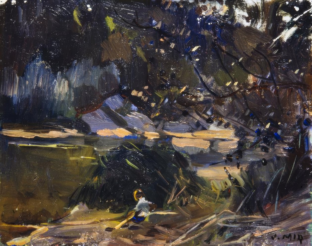 Unterholz von Joaquim Mir i Trinxet