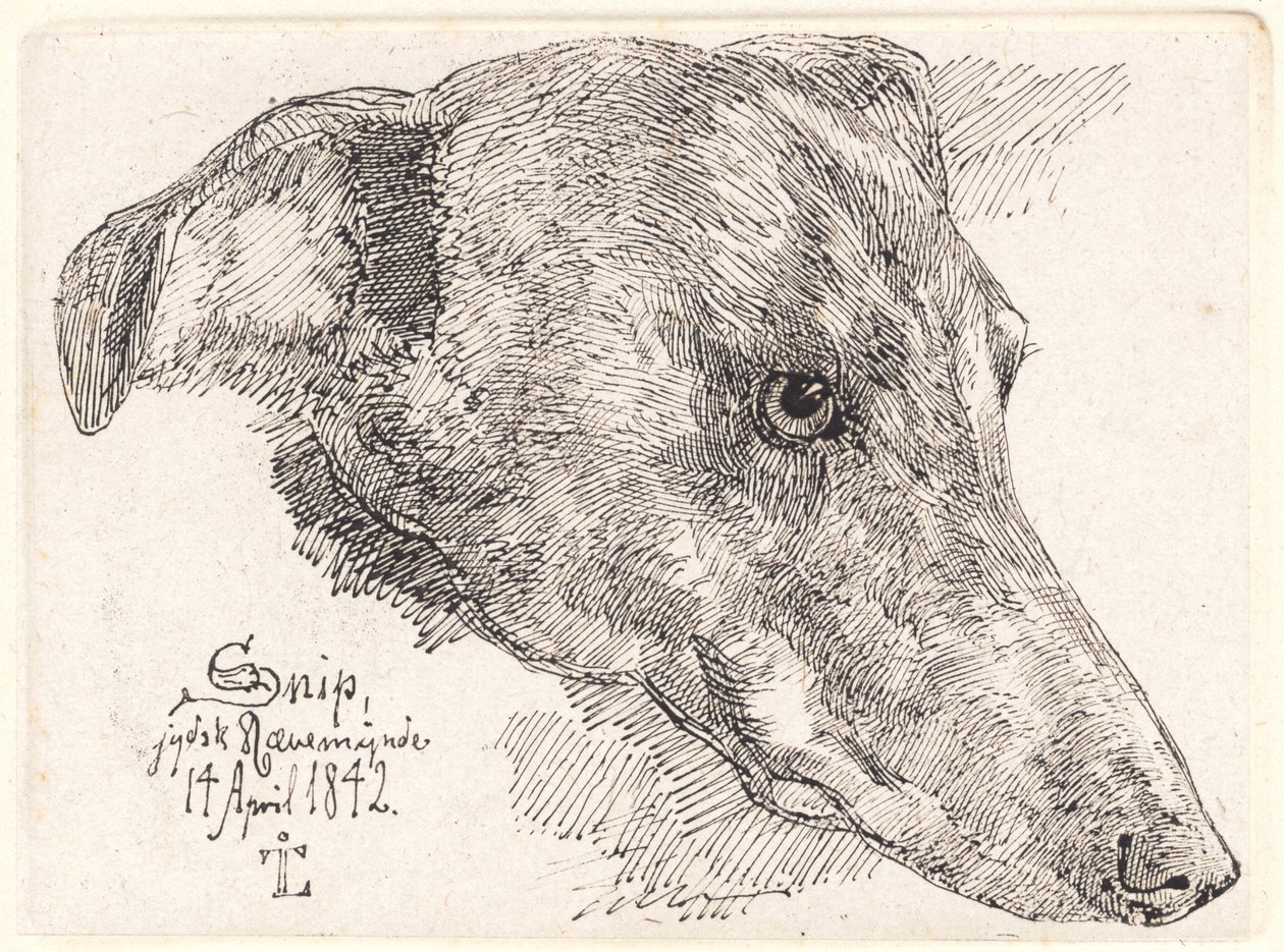 Hundekopf, Snip von Johan Lundbye