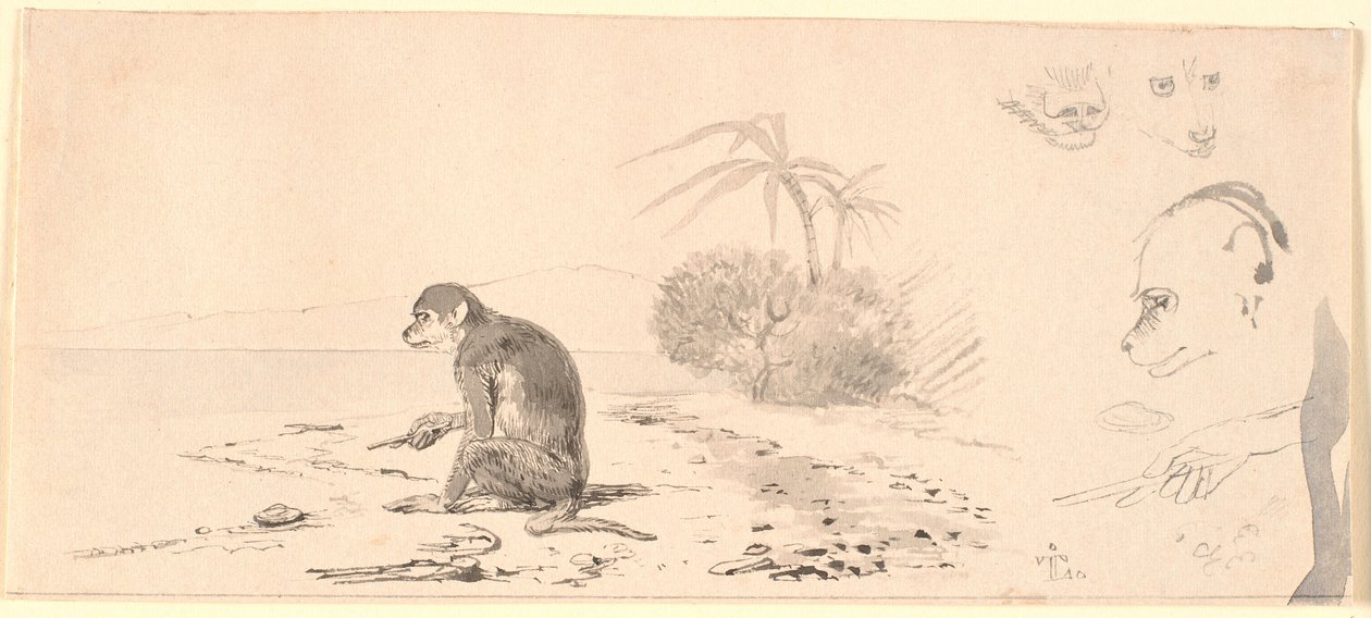 Der Affe. Rechts Studien von Affenköpfen usw. von Johan Thomas Lundbye