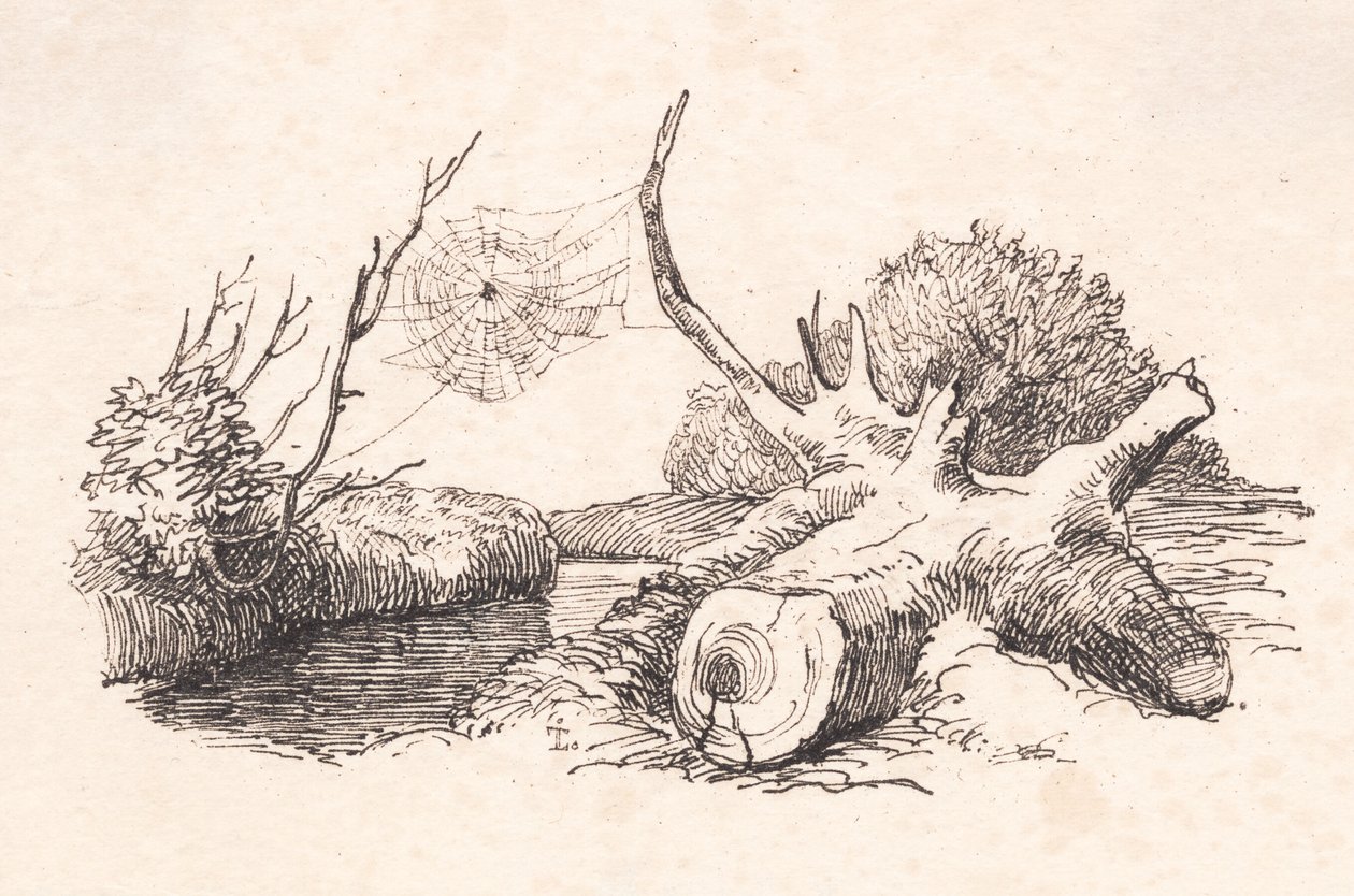 Die Spinne von Johan Thomas Lundbye