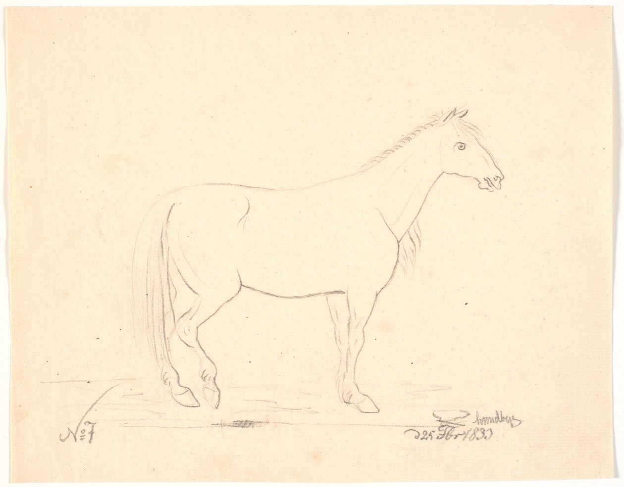 Stehendes Pferd im Profil nach rechts von Johan Thomas Lundbye