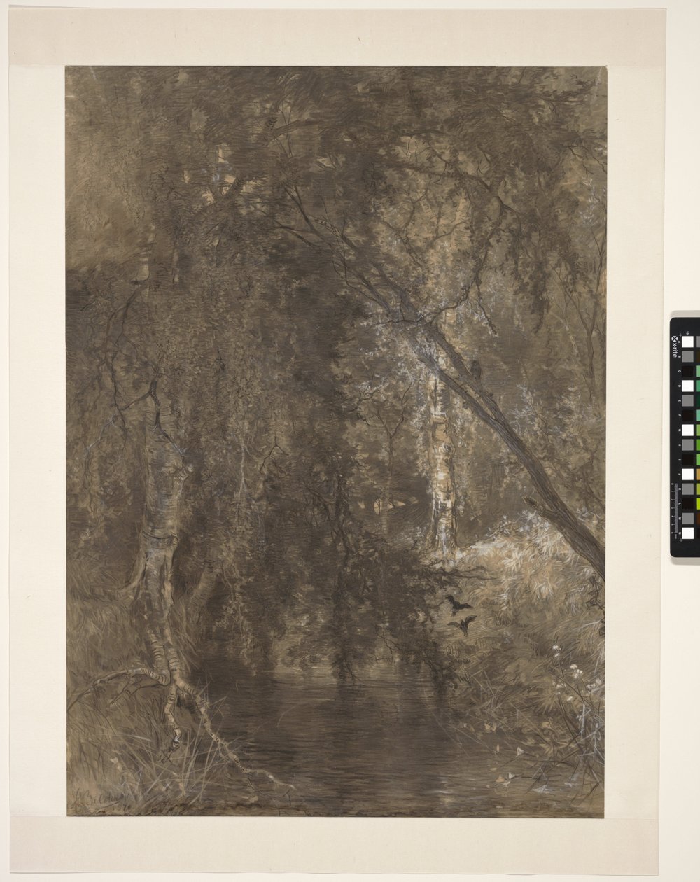 Ansicht im Wald mit kleinem Wasser, nahe Wolfheze, Niederlande von Johannes Warnardus Bilders
