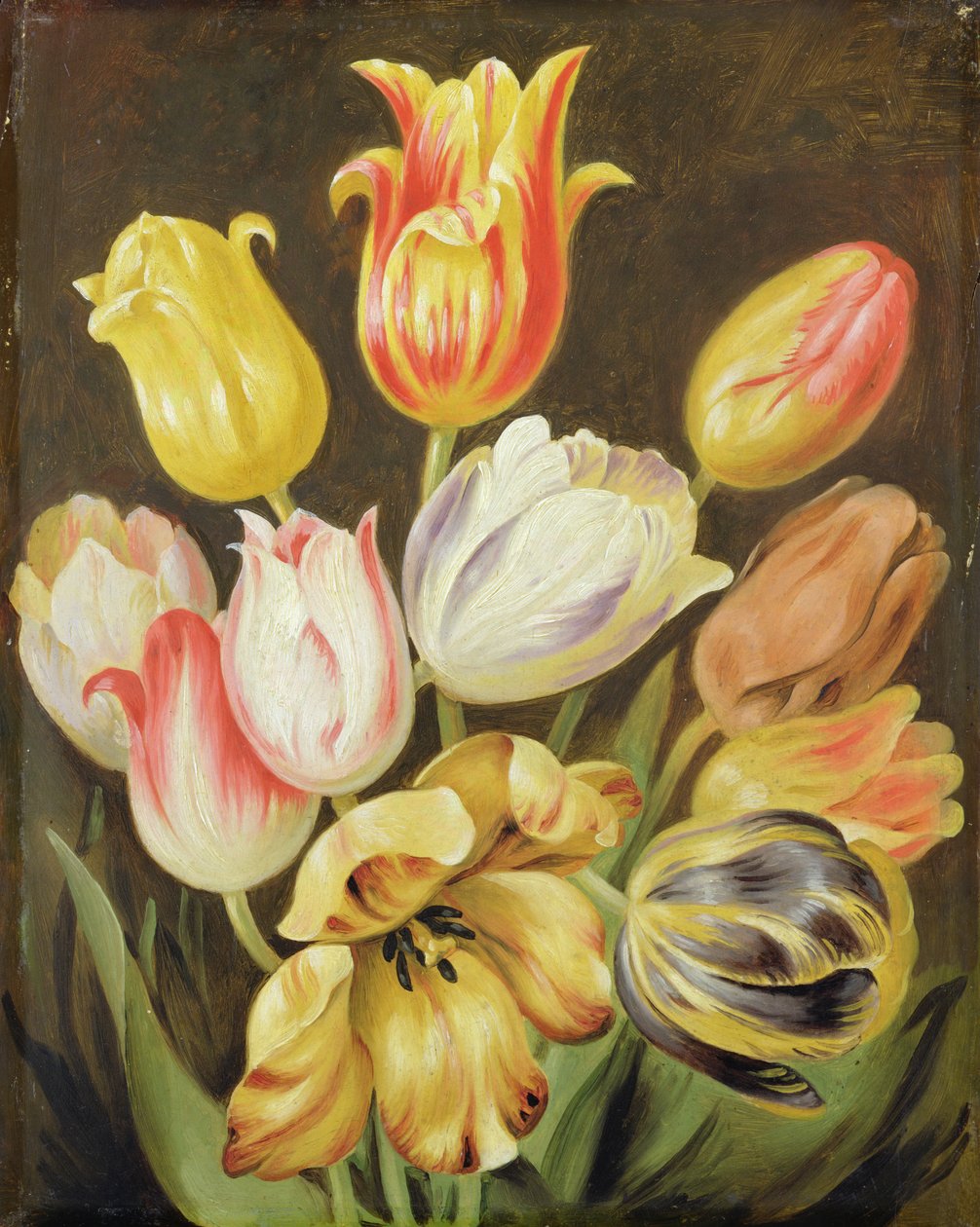 Blumenstudie von Johann Friedrich August Tischbein