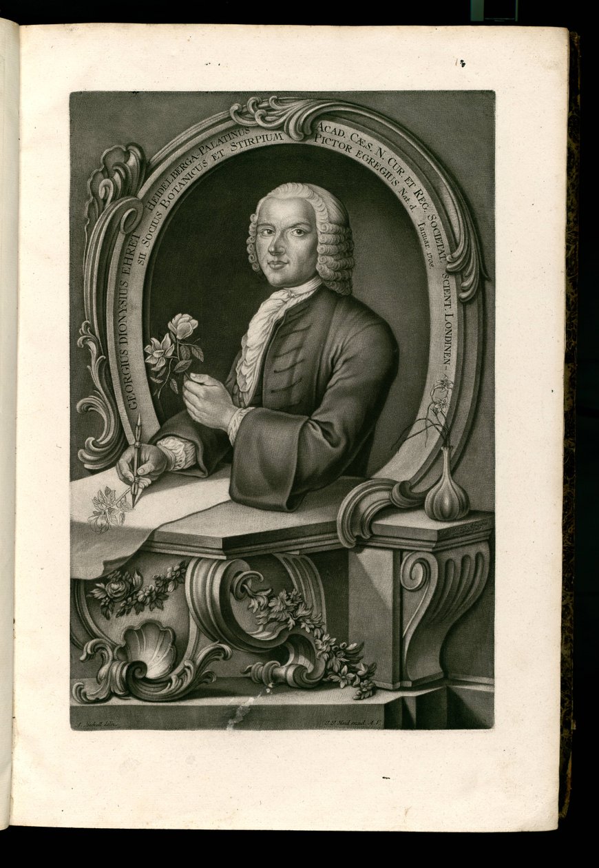 Georgius Dionysius Ehret von Johann Jakob Haid