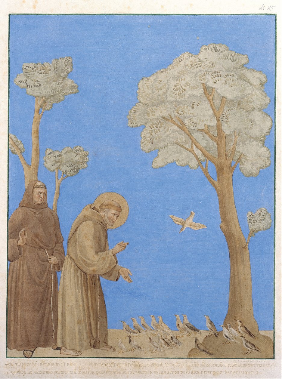 Der heilige Franziskus predigt den Vögeln von Johann Anton Ramboux