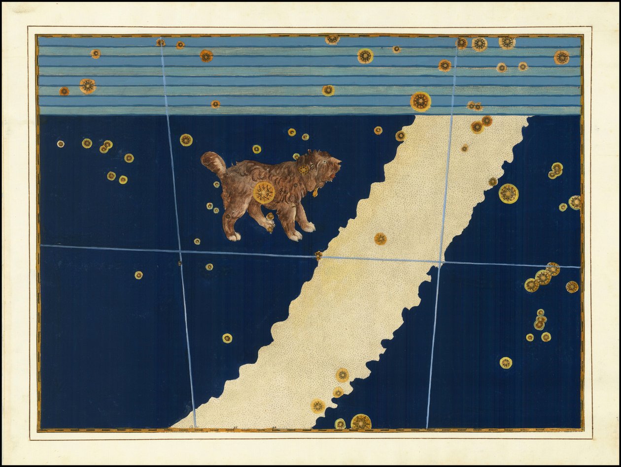 Canis Minor von Johann Bayer