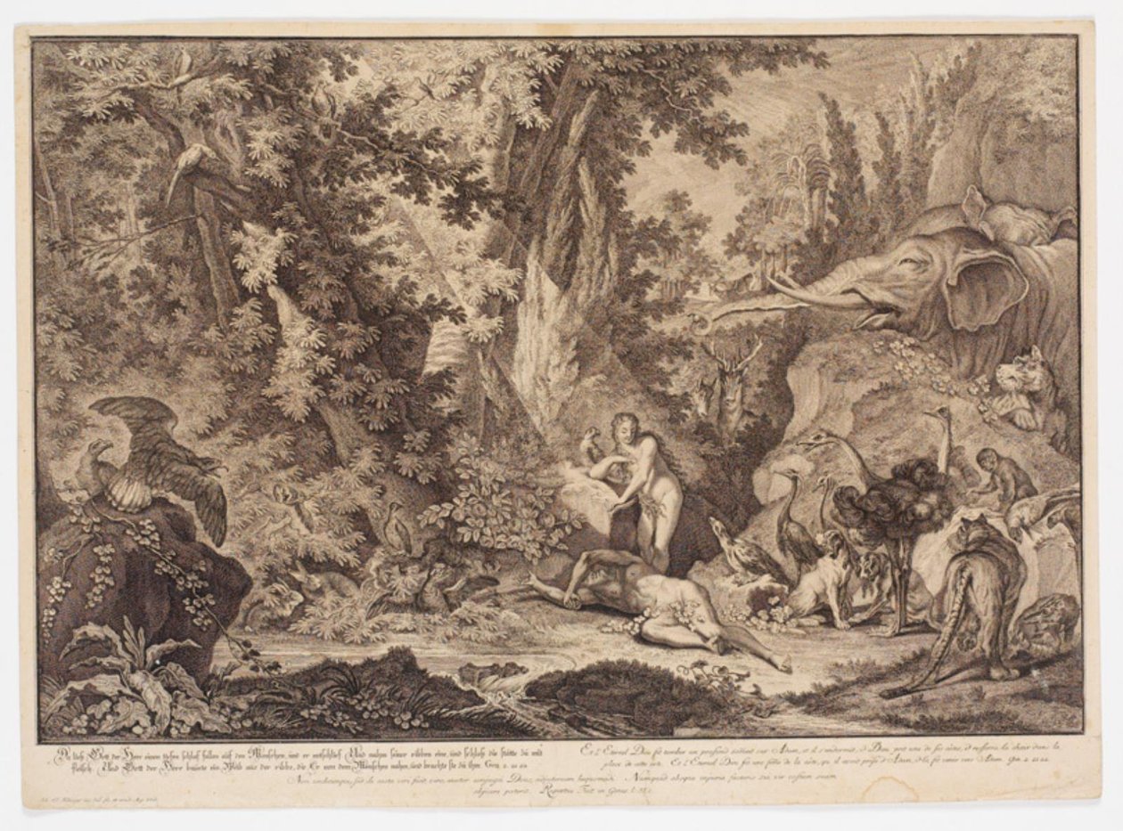 Die Erschaffung Evas von Johann Elias Ridinger