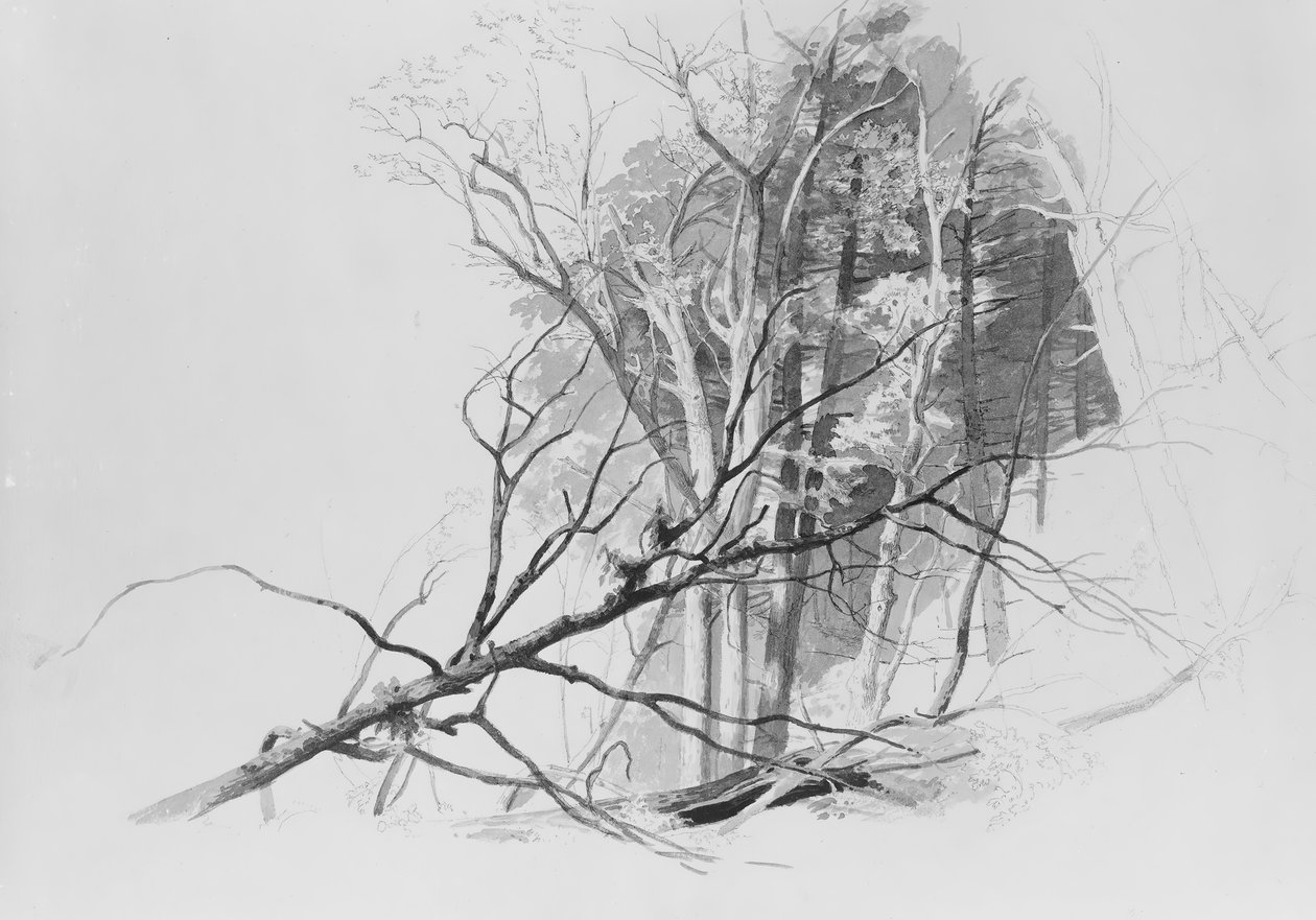 Waldszene von Johann Hermann Carmiencke