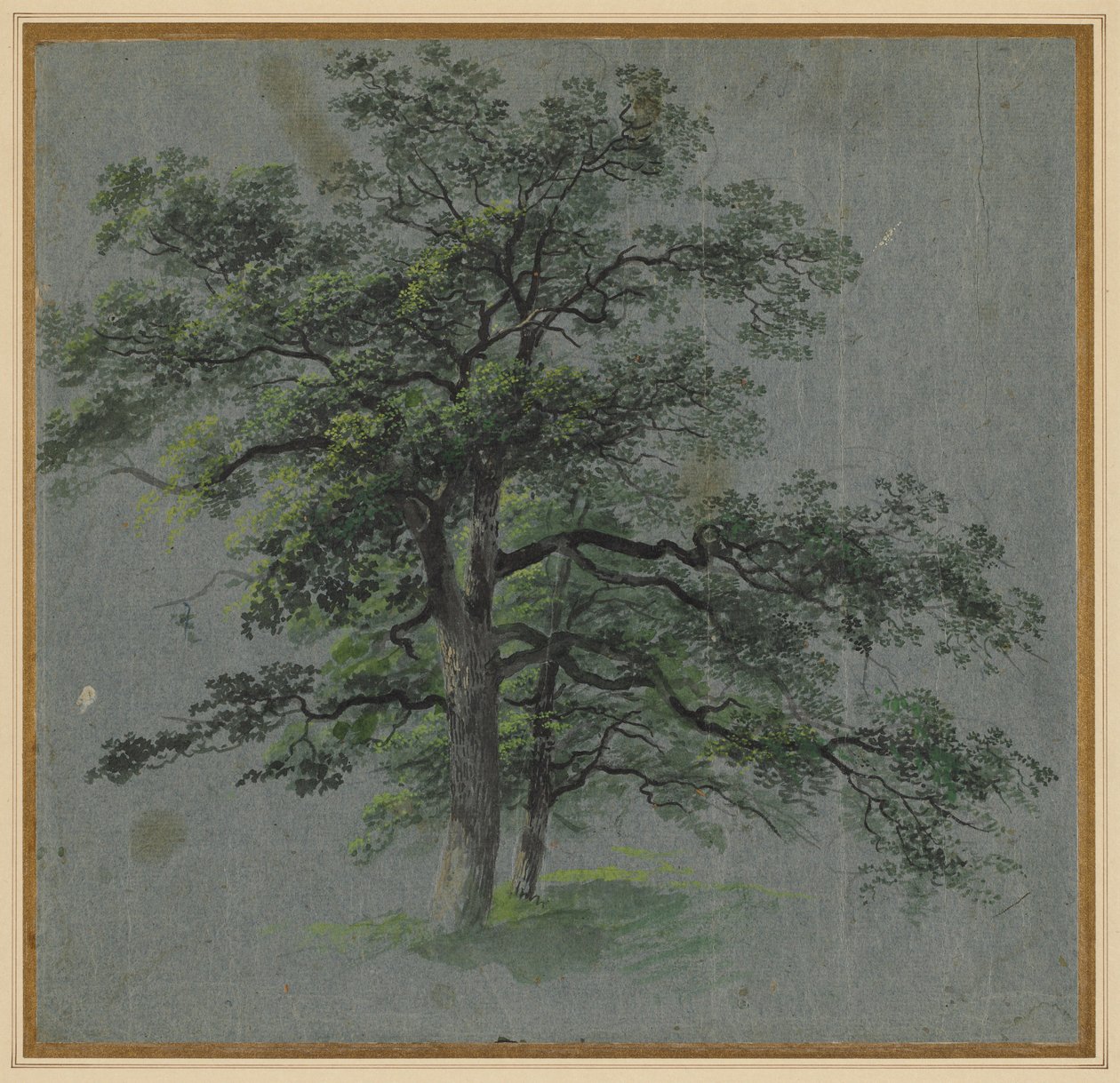 Zwei Bäume, erste Hälfte 1800er von Johann Jacob Dorner