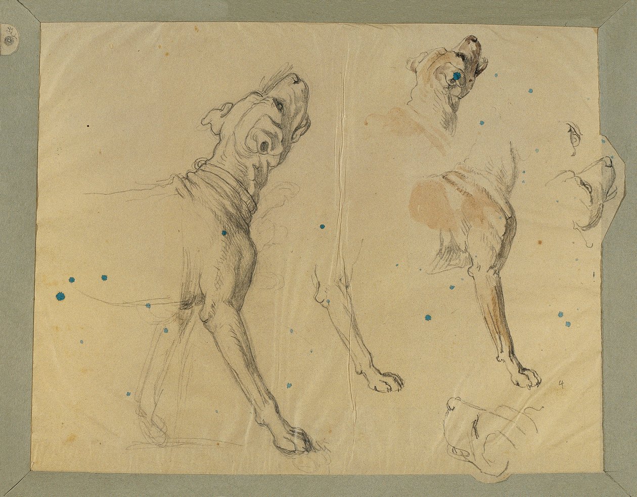 Hundestudie zur "Heimkehr des Landwehrmannes" (1820) von Johann Peter Krafft