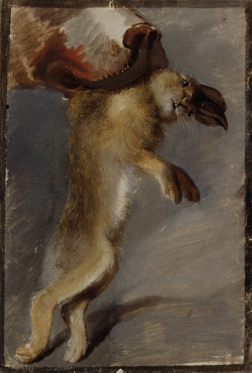 Studie eines Hasen von Johann Peter Krafft