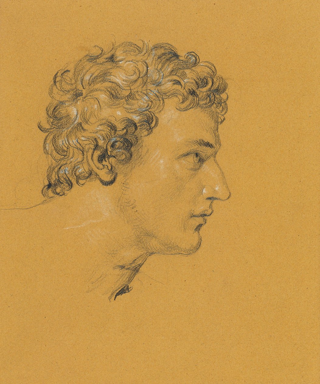 Studie eines Kopfes von Johann Peter Krafft