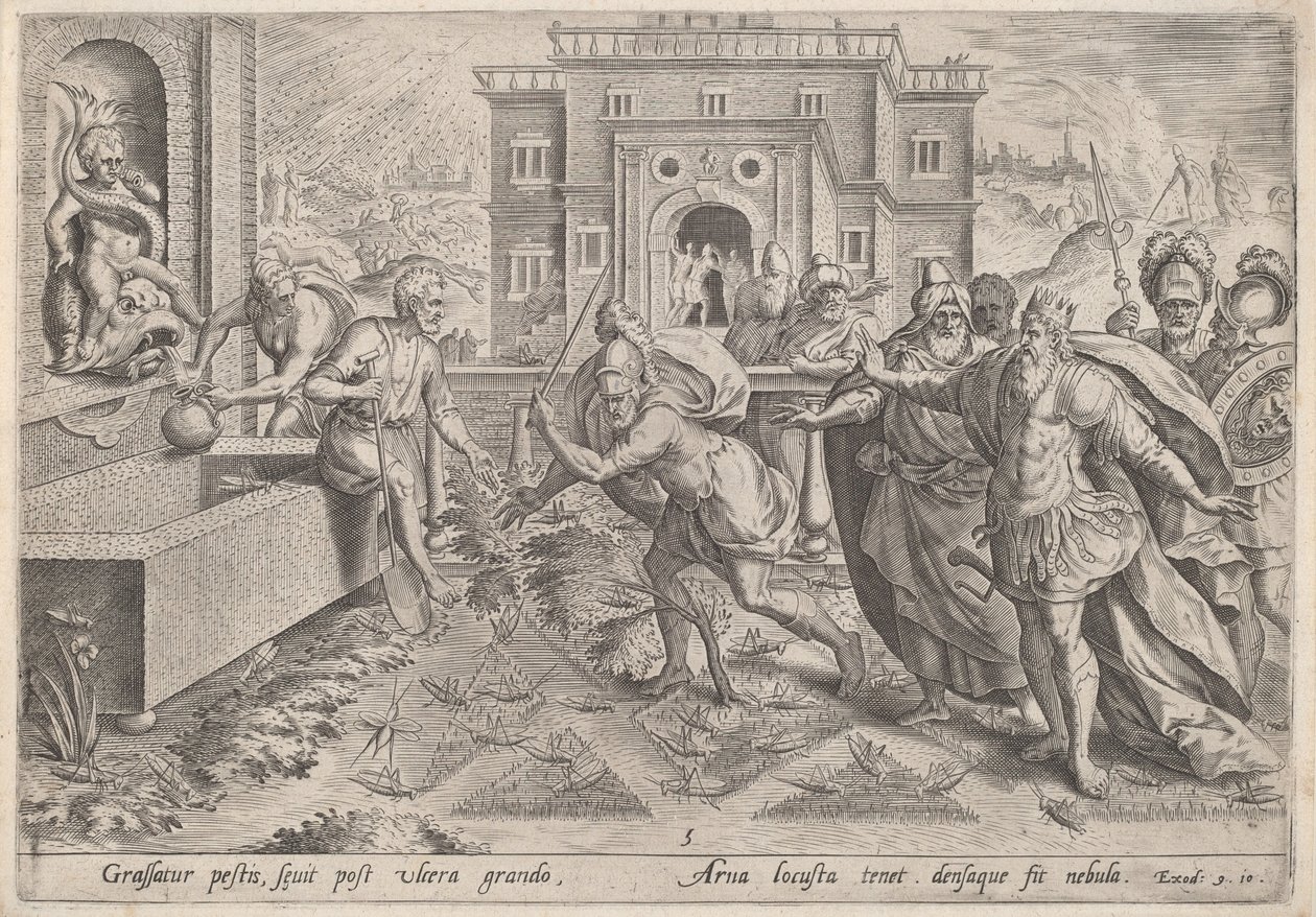 Die Heuschreckenplage, ca. 1585 von Johann Sadeler I