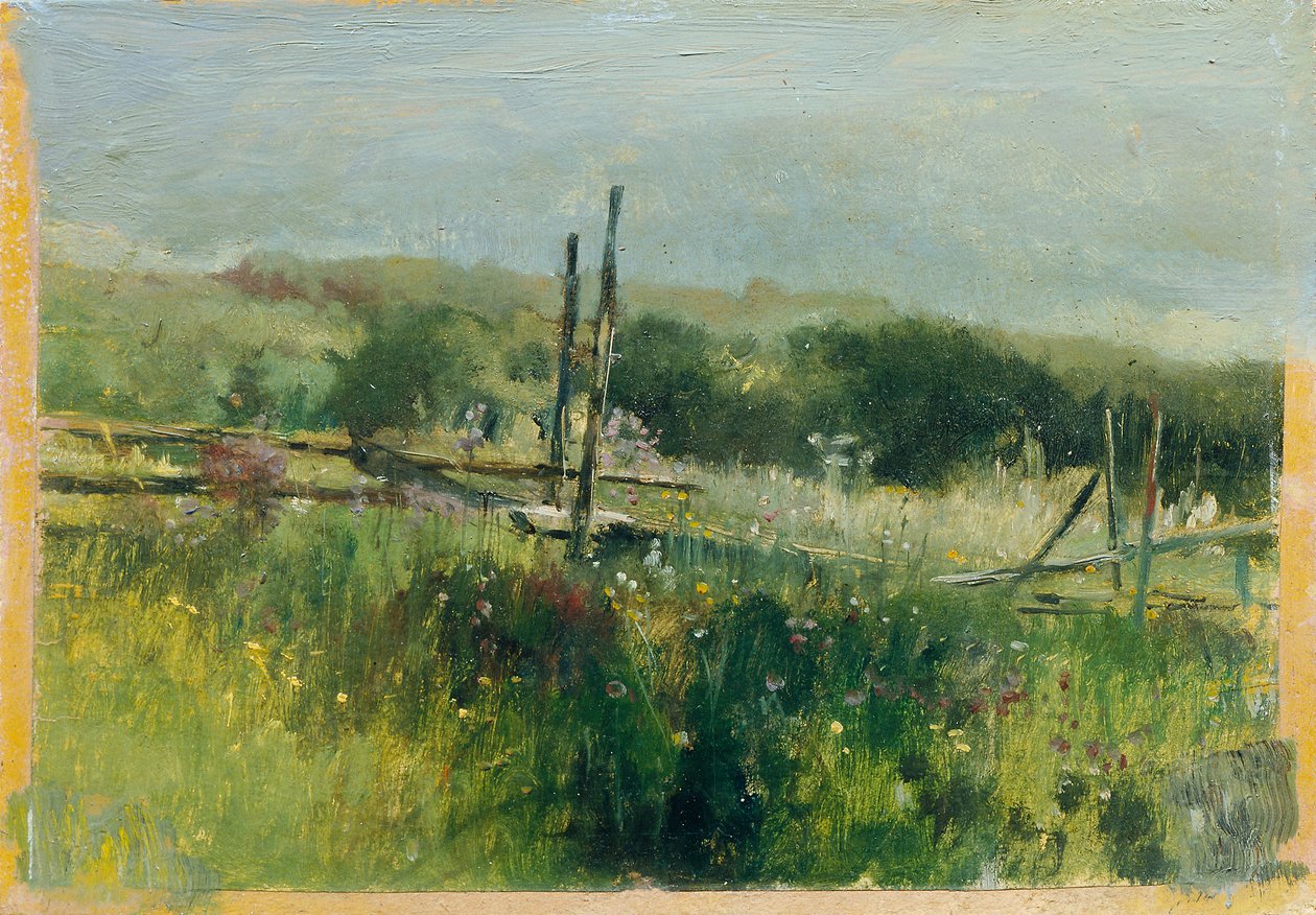 Wiese mit Zaun von Johann  Till der Jüngere