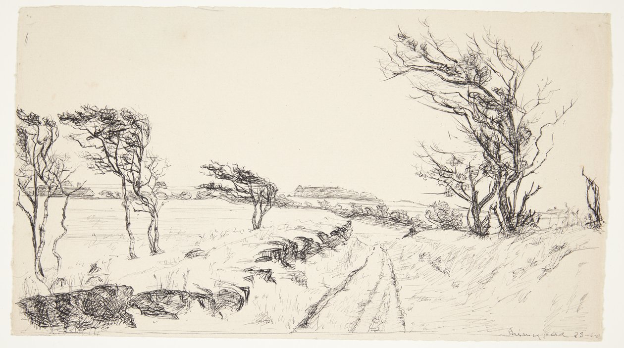 Landschaft Breininggaard von Johanne Krebs