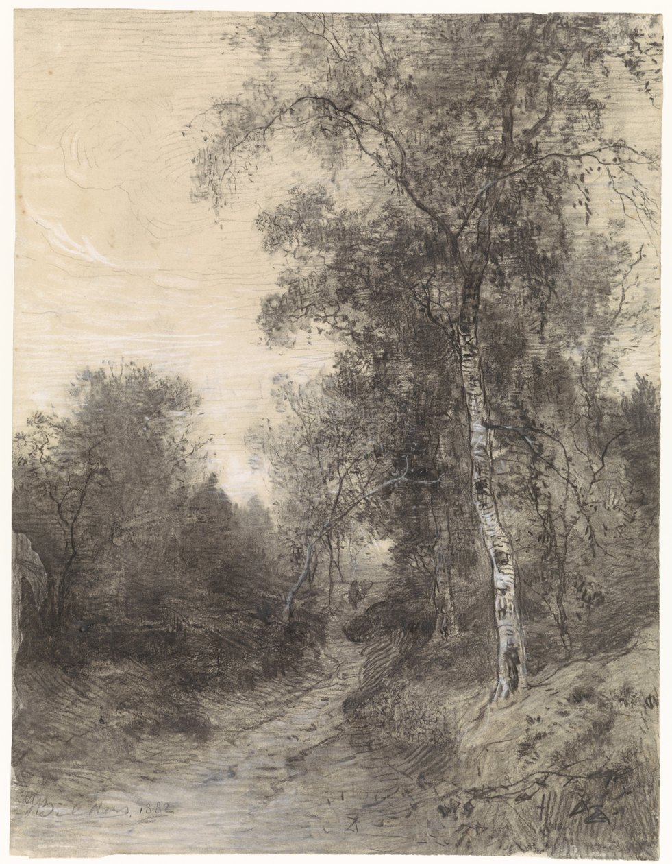 Ansicht im Wald von Johannes Warnardus Bilders