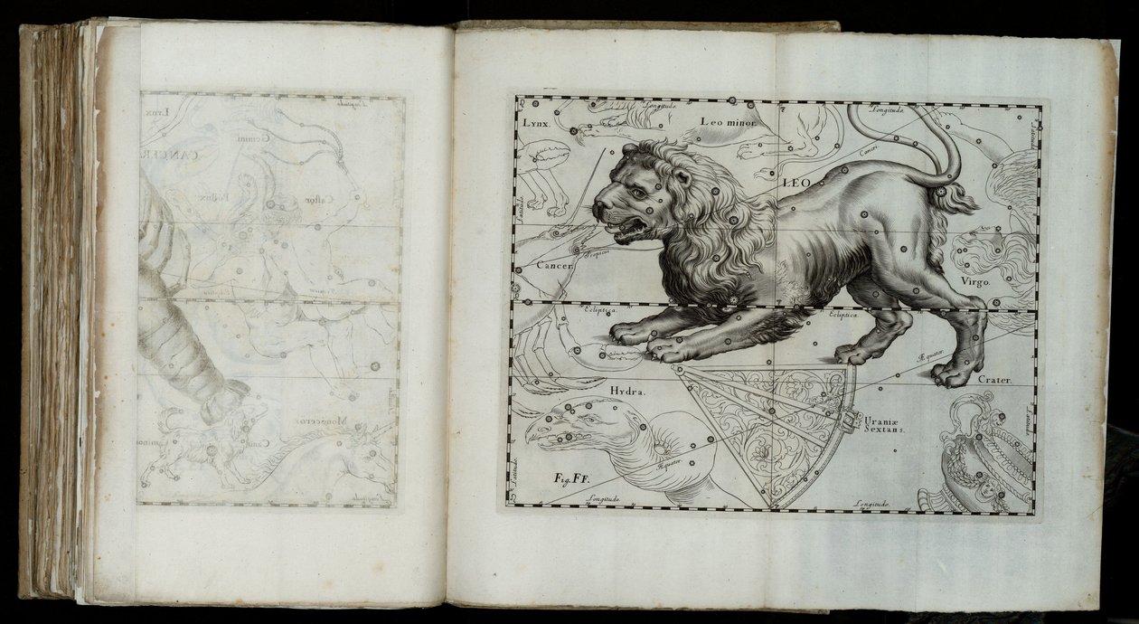 Löwe (Sternbild) aus "Prodromus astronomiae" von Johannes Hevelius