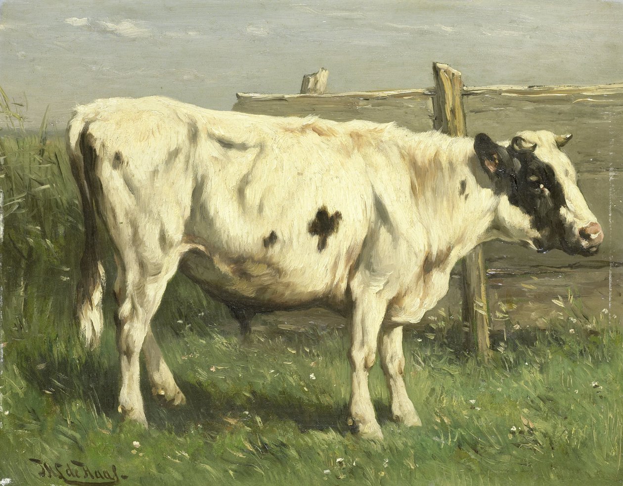 Junger Stier von Johannes Hubertus Leonardus de Haas