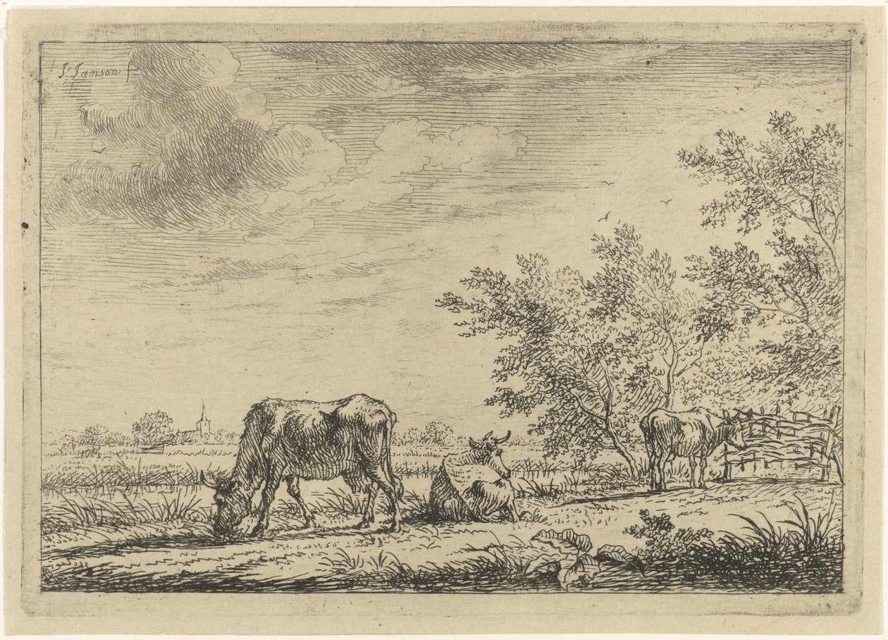 Drei Kühe auf der Weide von Johannes Janson