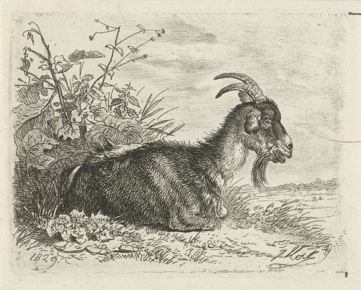 Liegender Bock von Johannes Mock