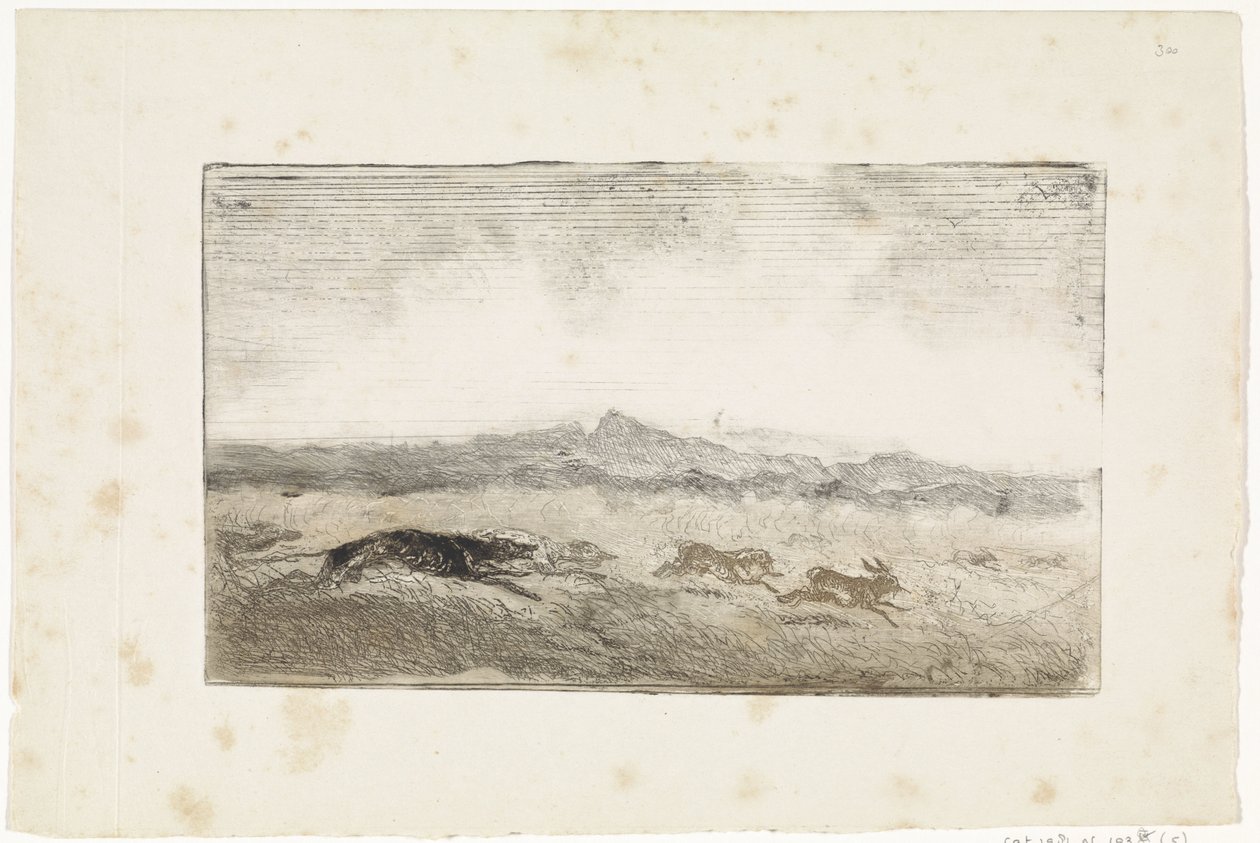 Hasenjagd von Johannes Tavenraat