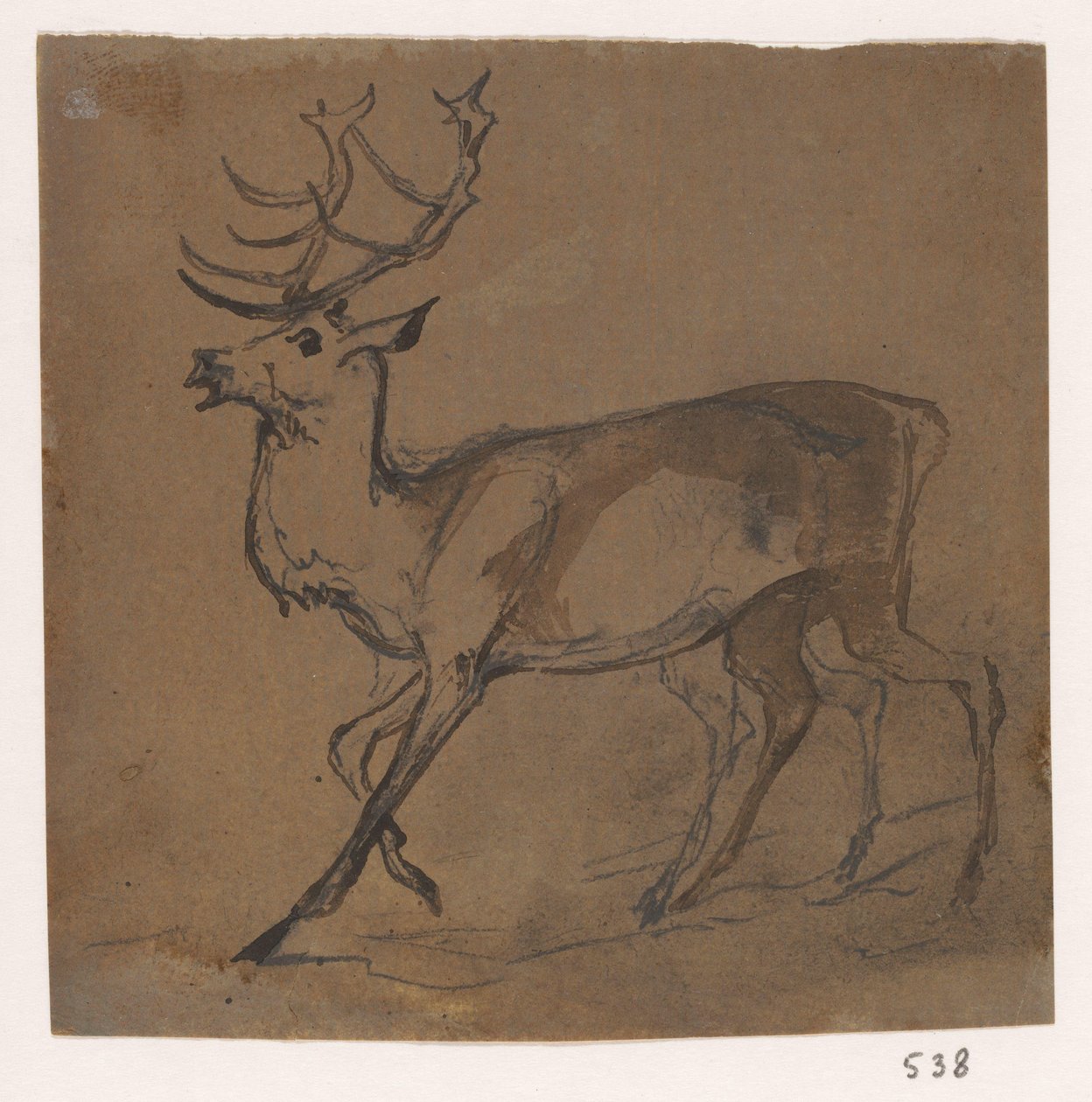 Hirsch von Johannes Tavenraat