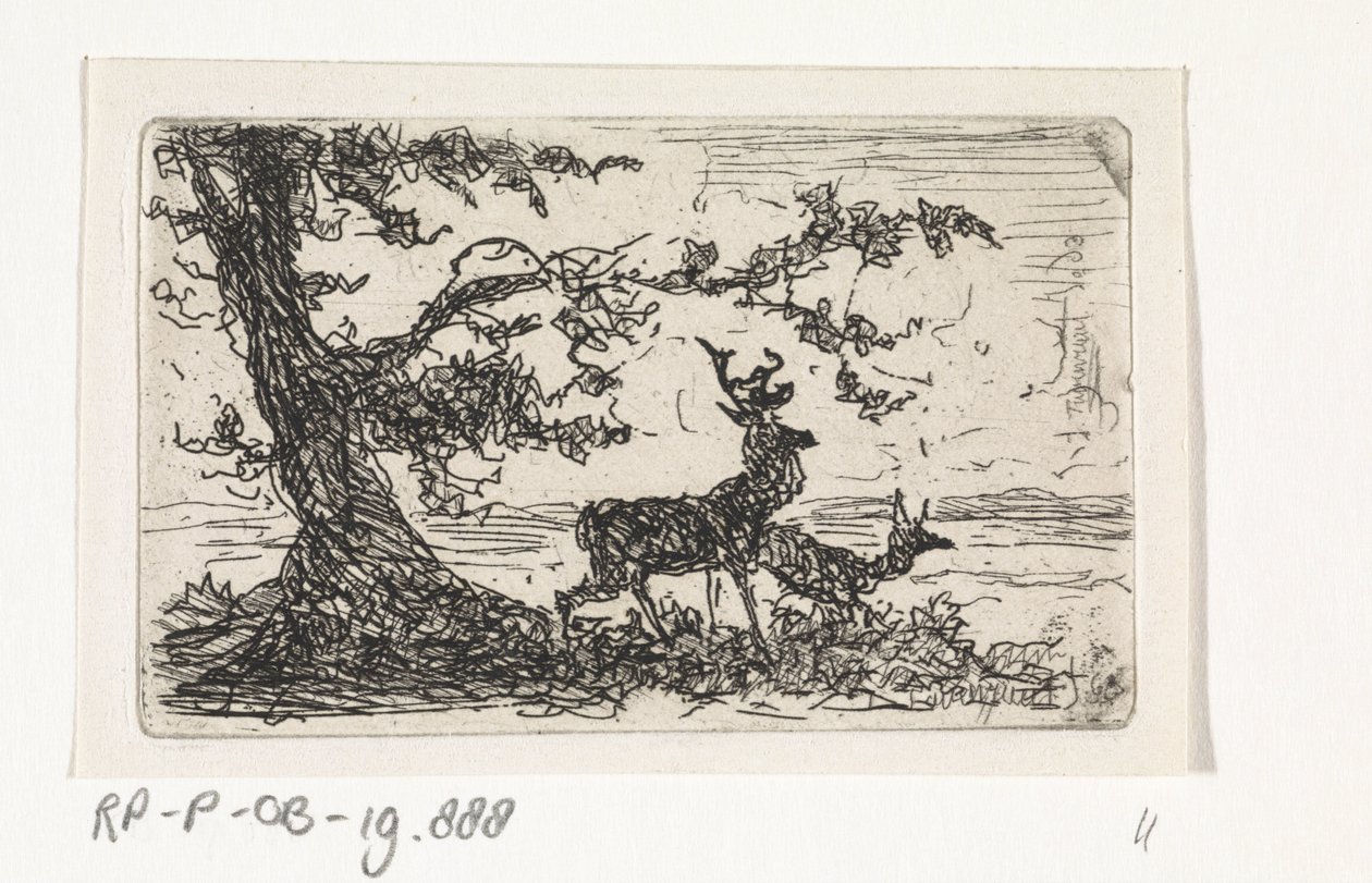 Zwei Hirsche unter einem Baum von Johannes Tavenraat