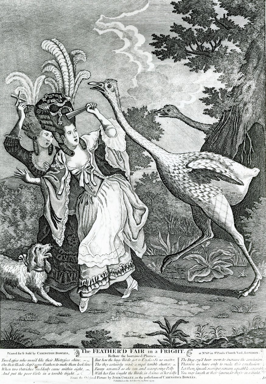 Der gefiederte Freund in Angst, 1779 von John Collet