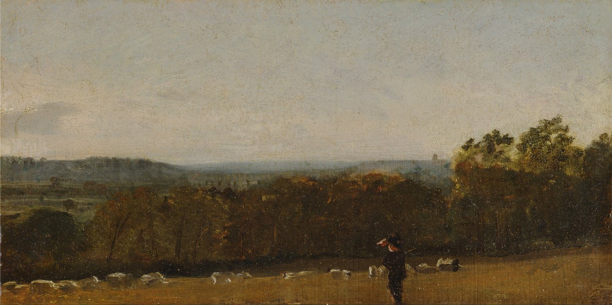 Ein Hirte in einer Landschaft, der über das Dedham-Tal nach Langham schaut von John Constable