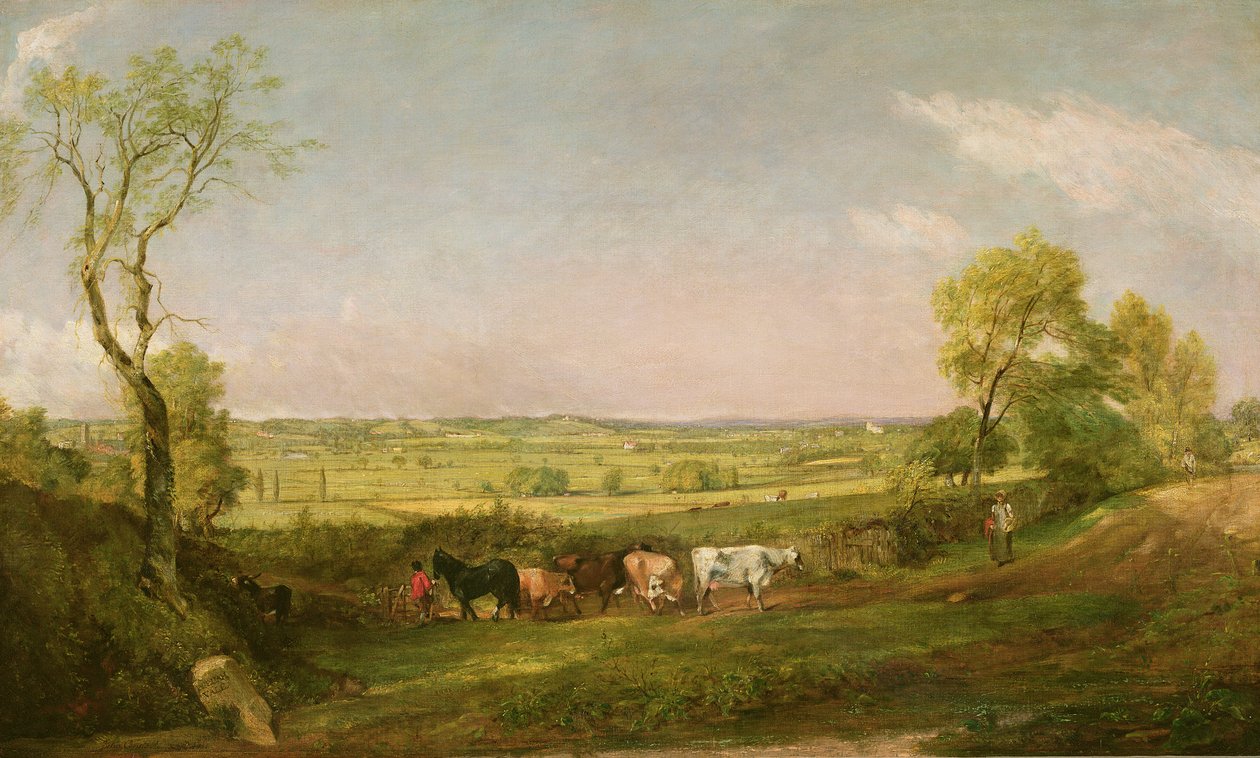 Dedham Vale: Morgen, ca. 1811 von John Constable