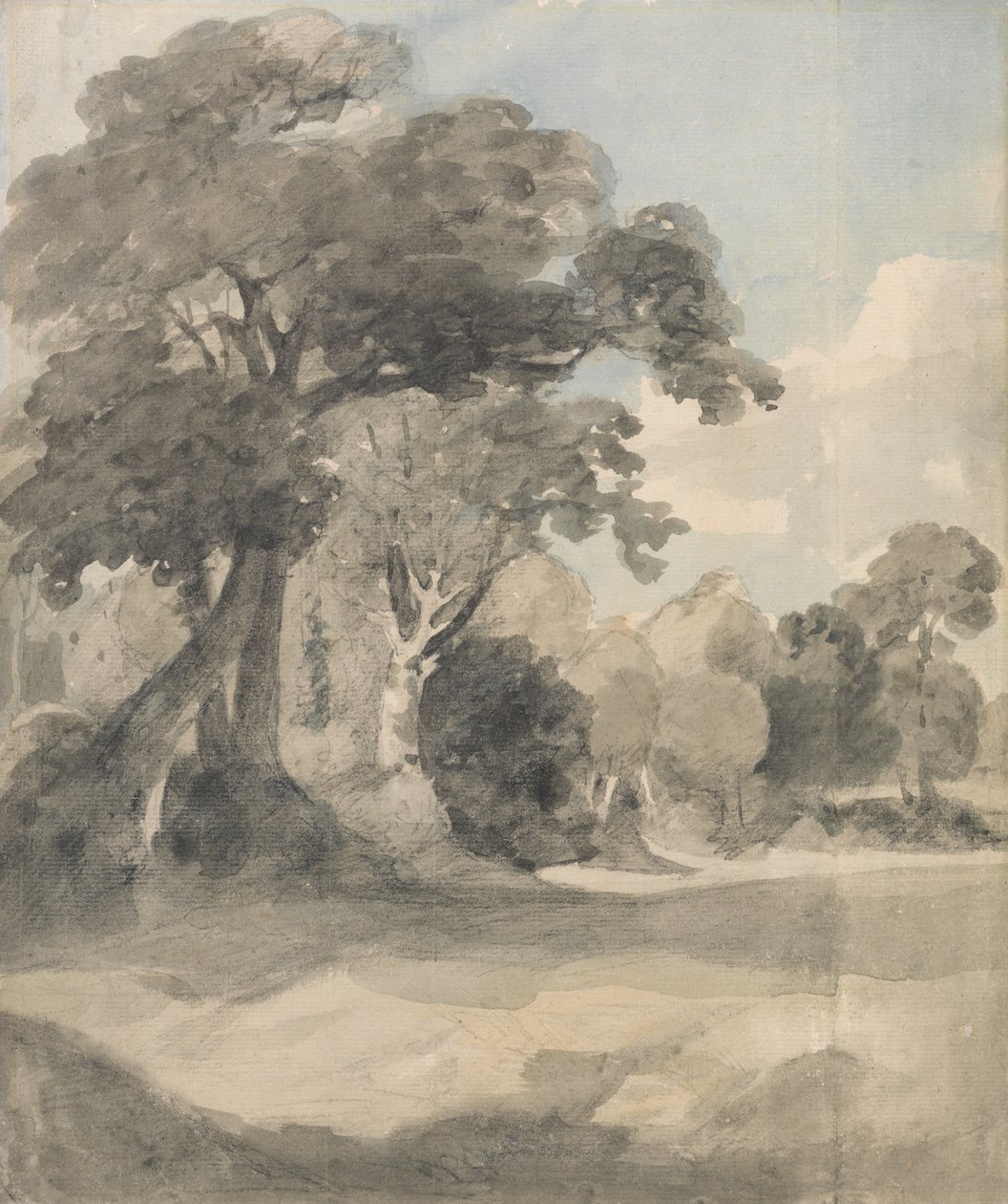 Bäume auf einer Wiese von John Constable