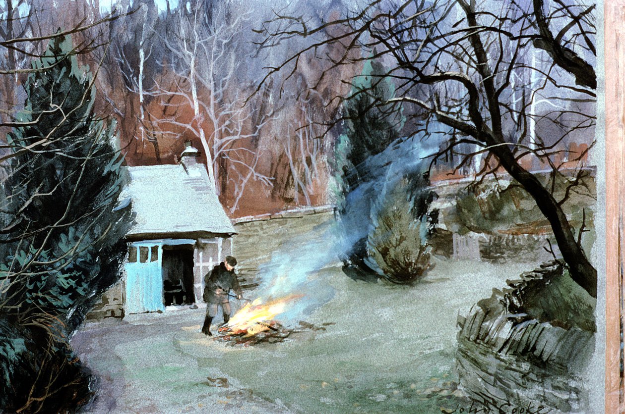 Lakeland-Feuer, 1996 von John Cooke
