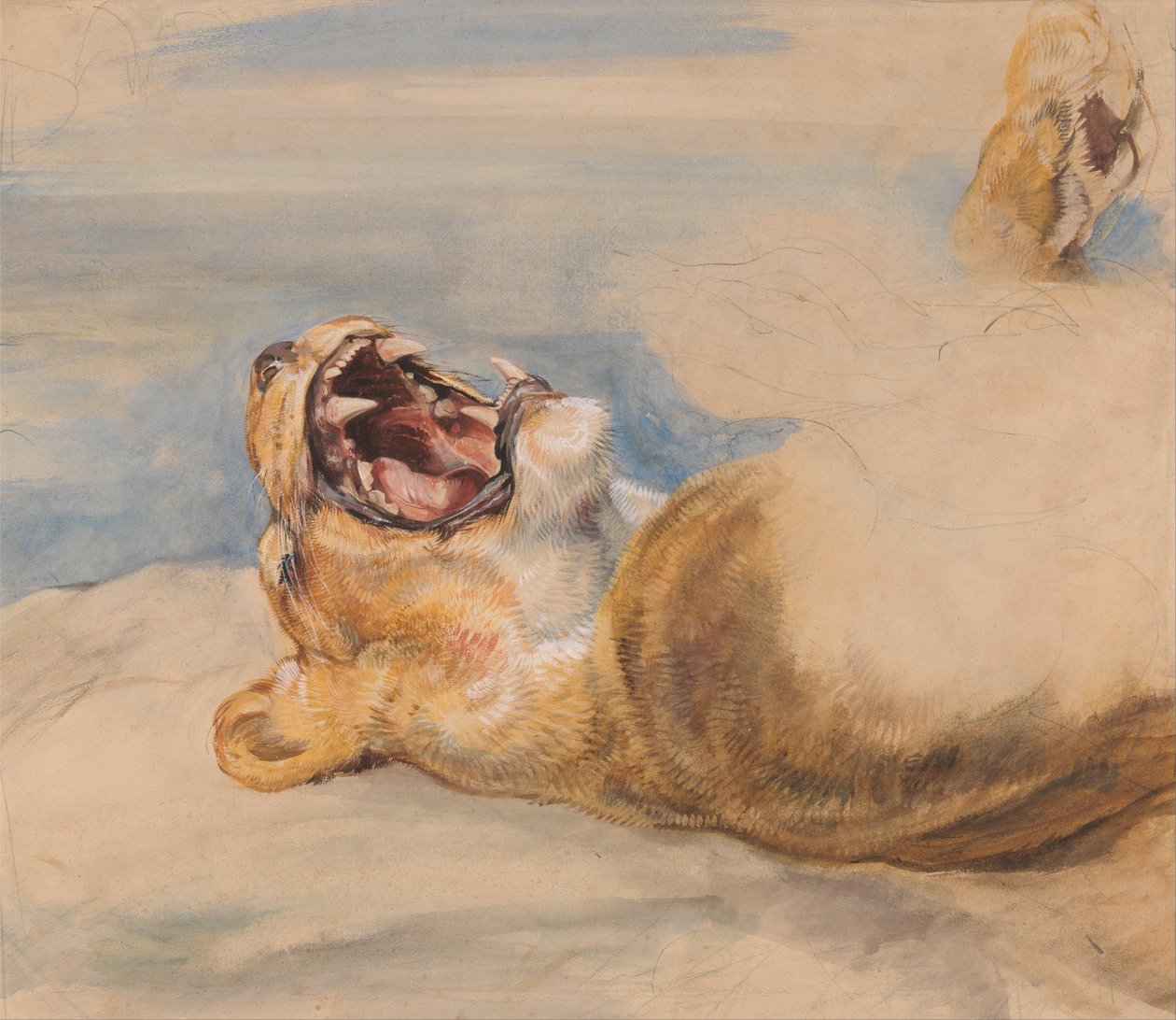 Studie einer Löwin von John Frederick Lewis