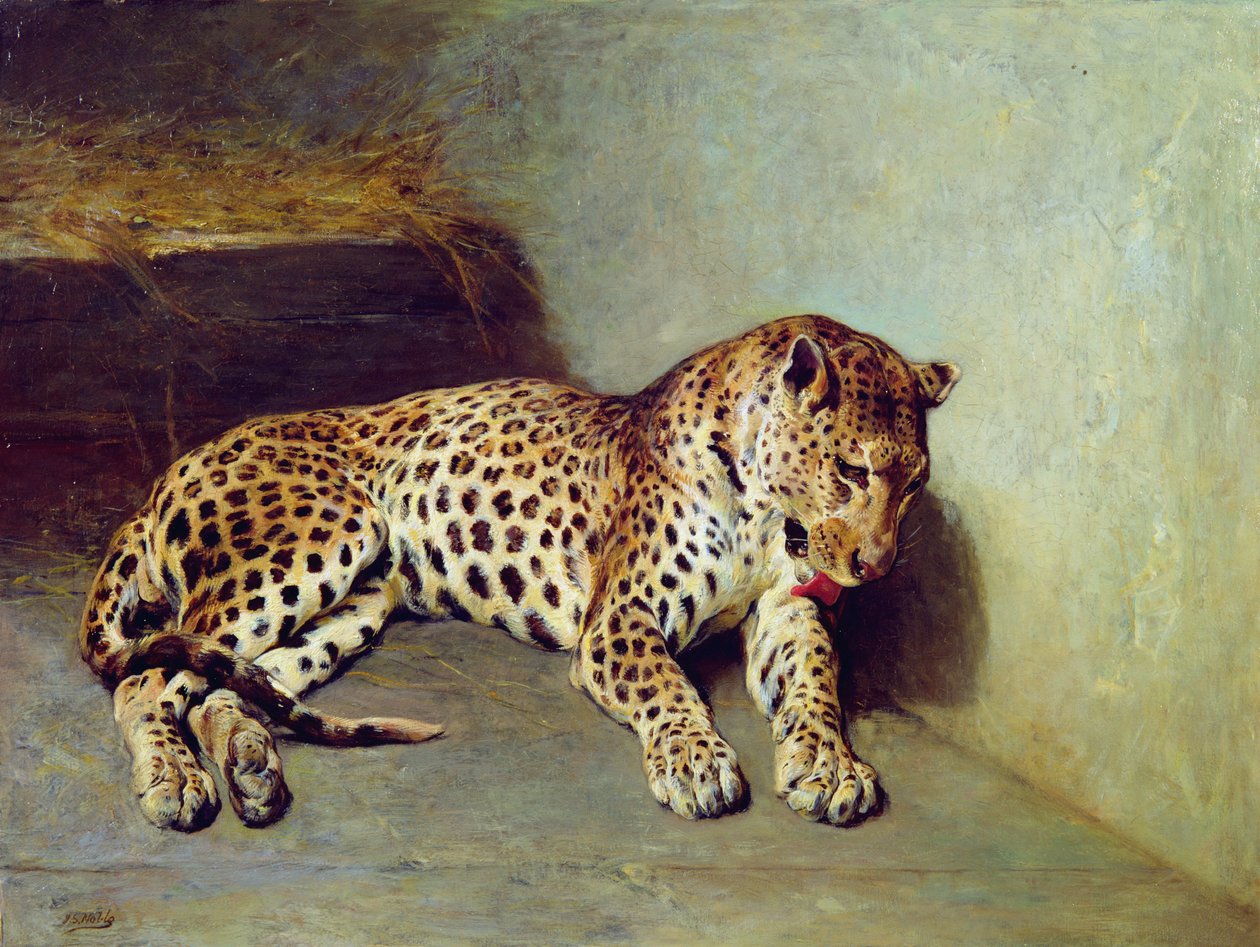 Der Leopard von John Sargent Noble