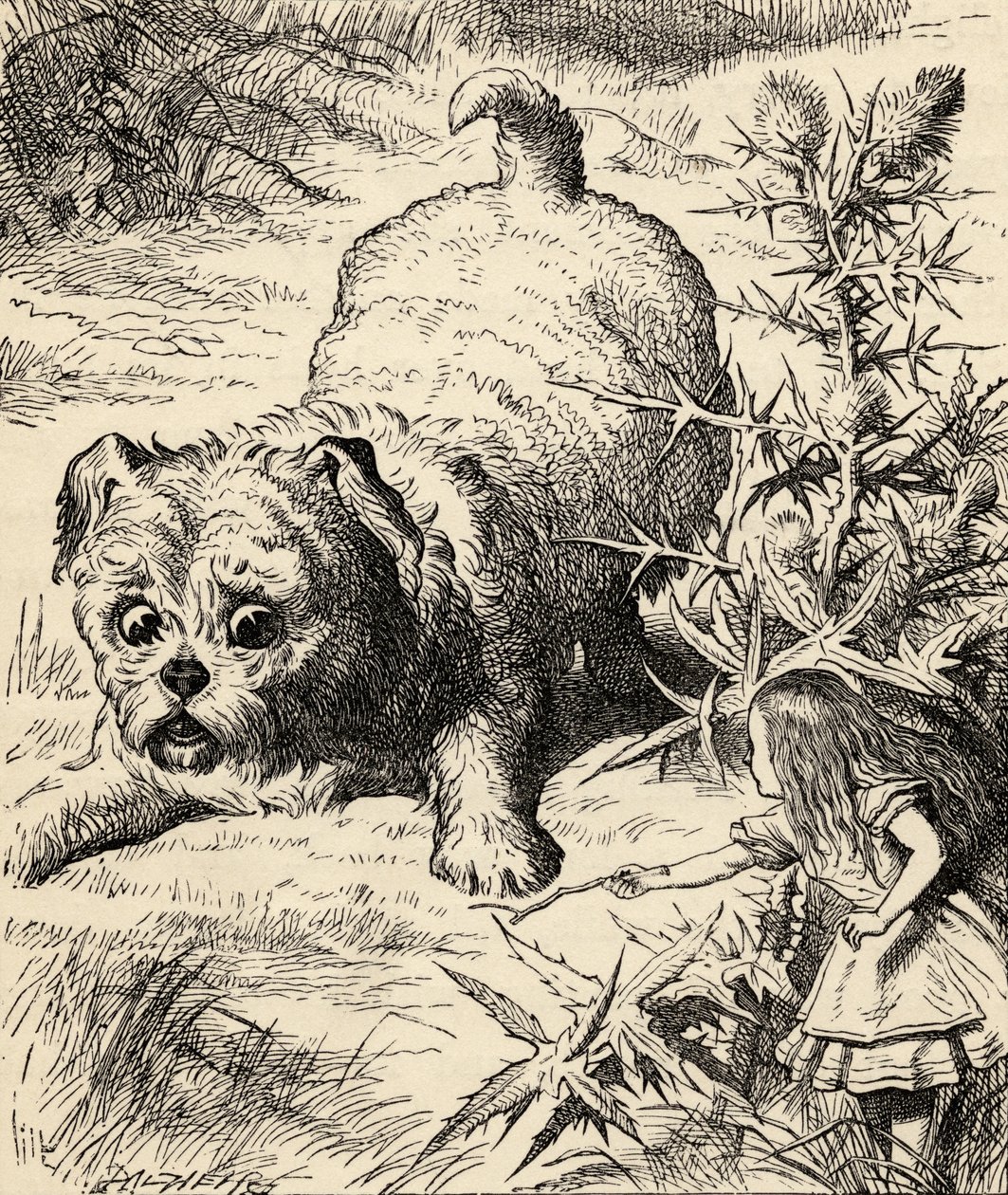 Alice schrumpft und trifft den Welpen, aus 