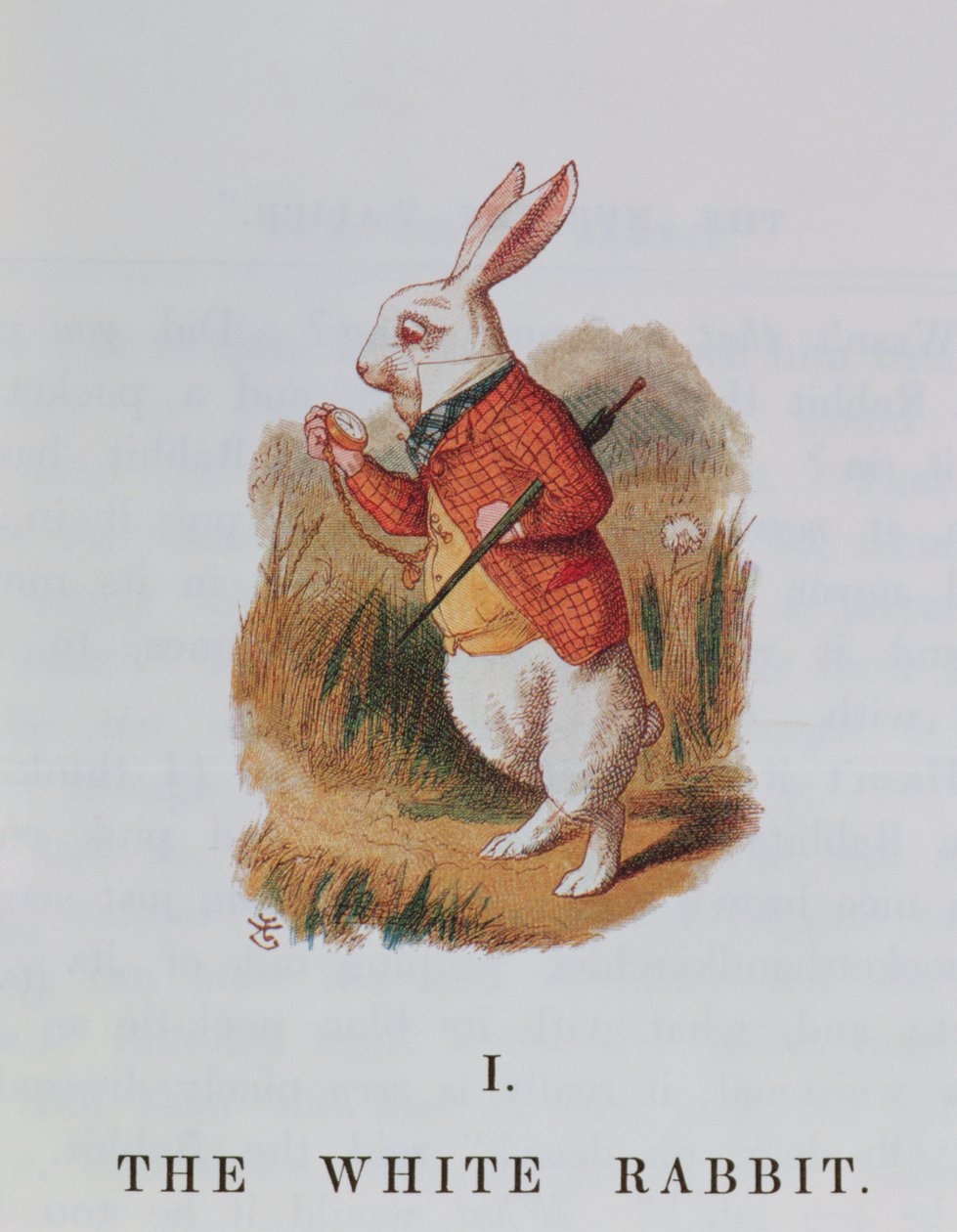 Das weiße Kaninchen, Illustration aus 
