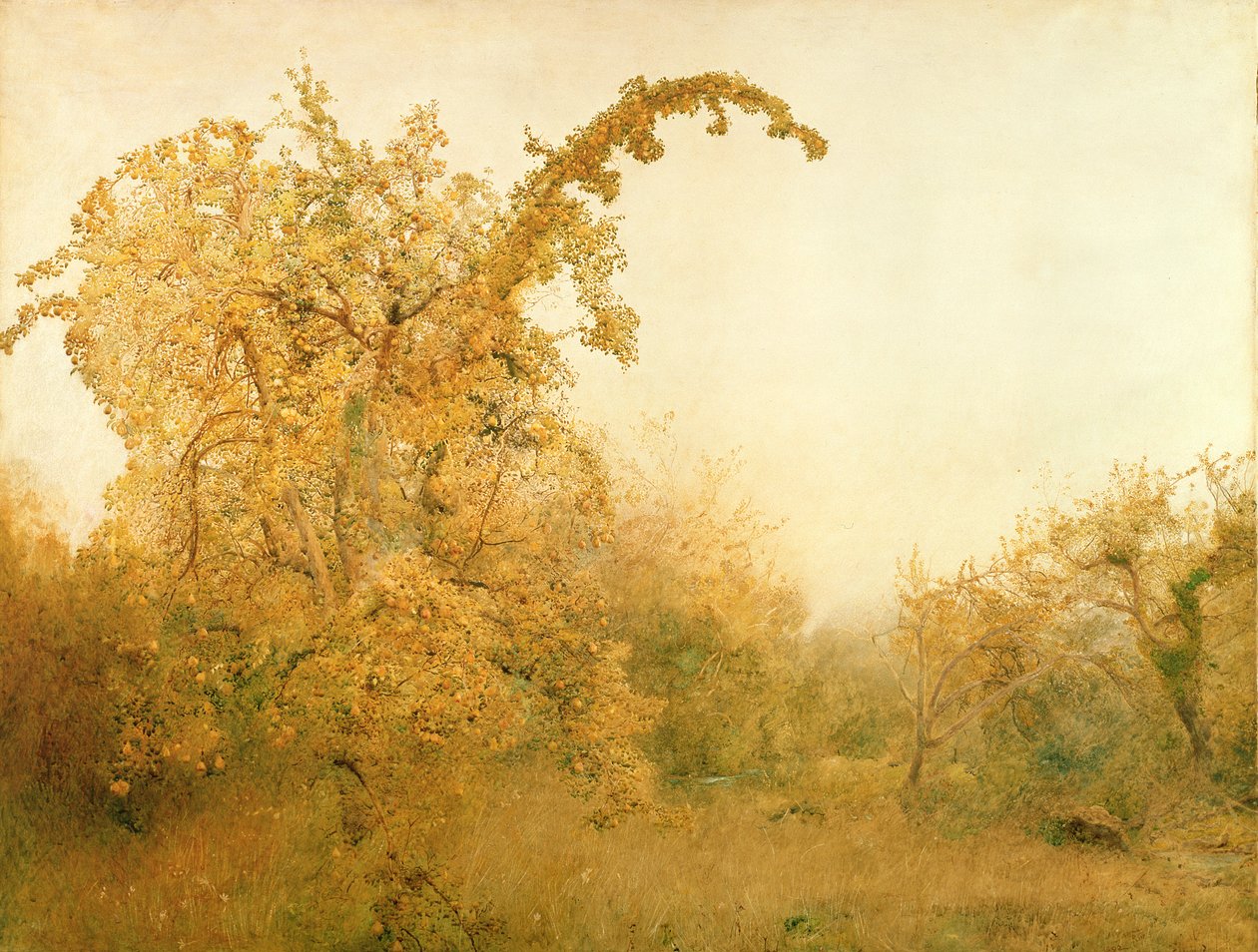 Der alte Birnbaum von John William North