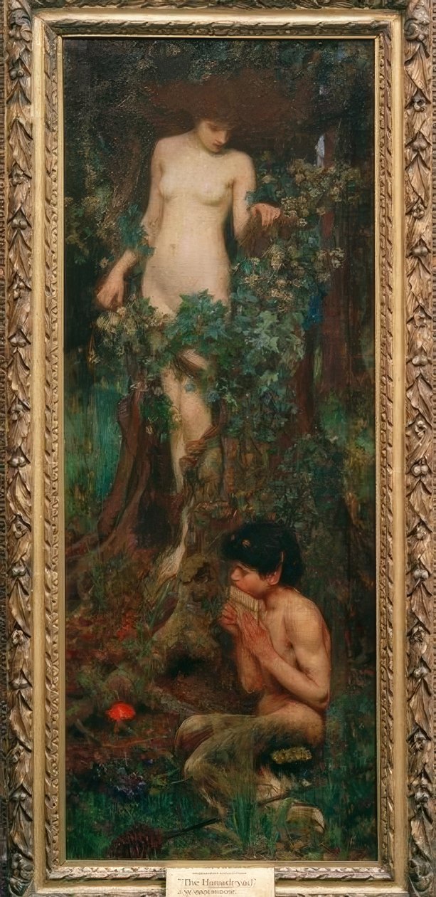 Eine Hamadryade von John William Waterhouse