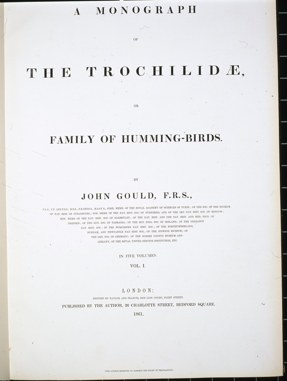 Frontispiz von John (after) Gould