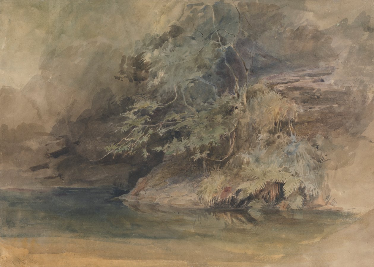 Bäume an einem Teich von John Absolon