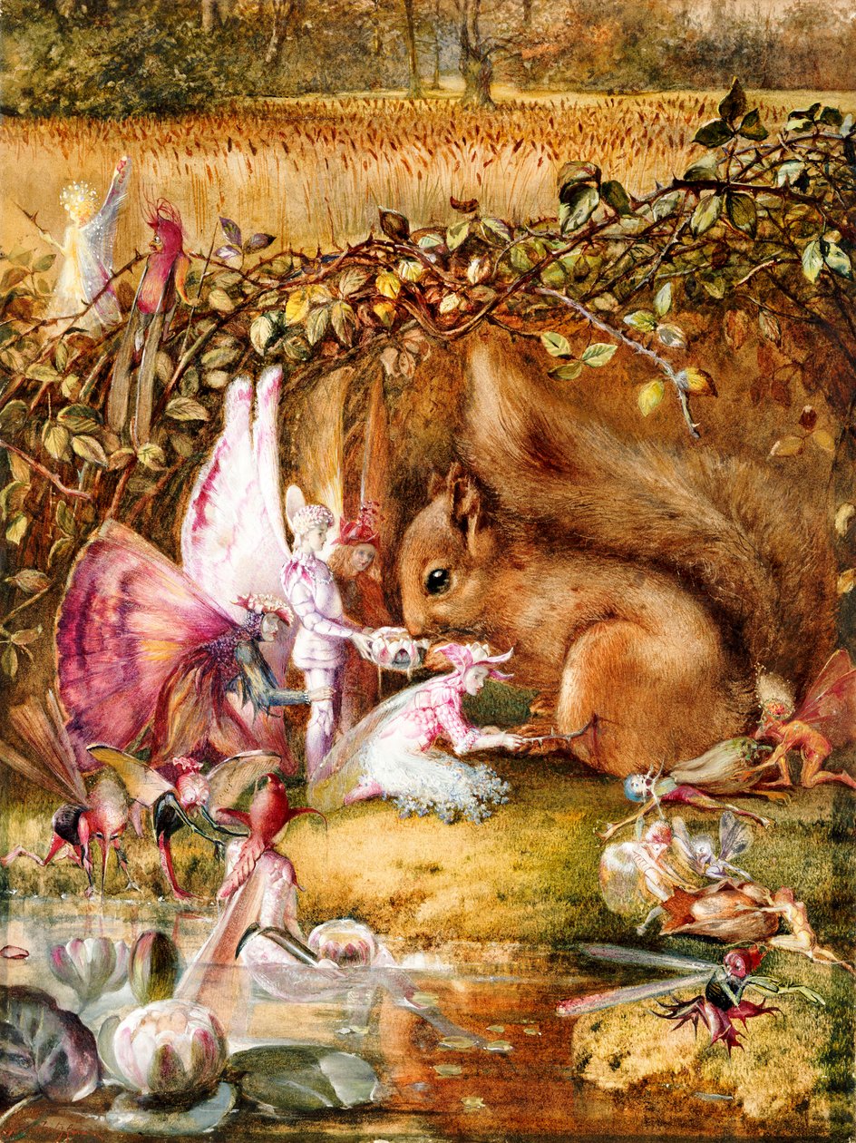 Das verwundete Eichhörnchen von John Anster Fitzgerald