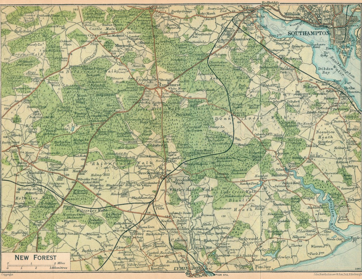 New Forest, 20. Jahrhundert von John Bartholomew
