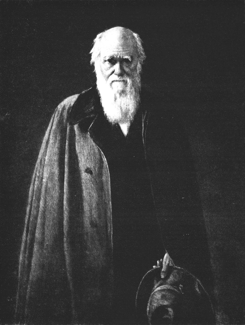 Charles Darwin 1809-1882, 1883, 1912 von John Collier