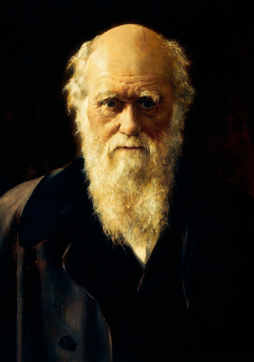 Porträt von Charles Darwin von John Collier