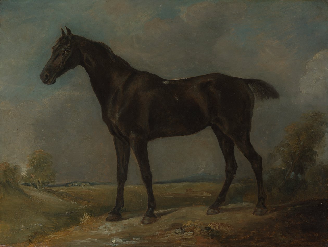 Golding Constables Schwarzes Reitpferd von John Constable