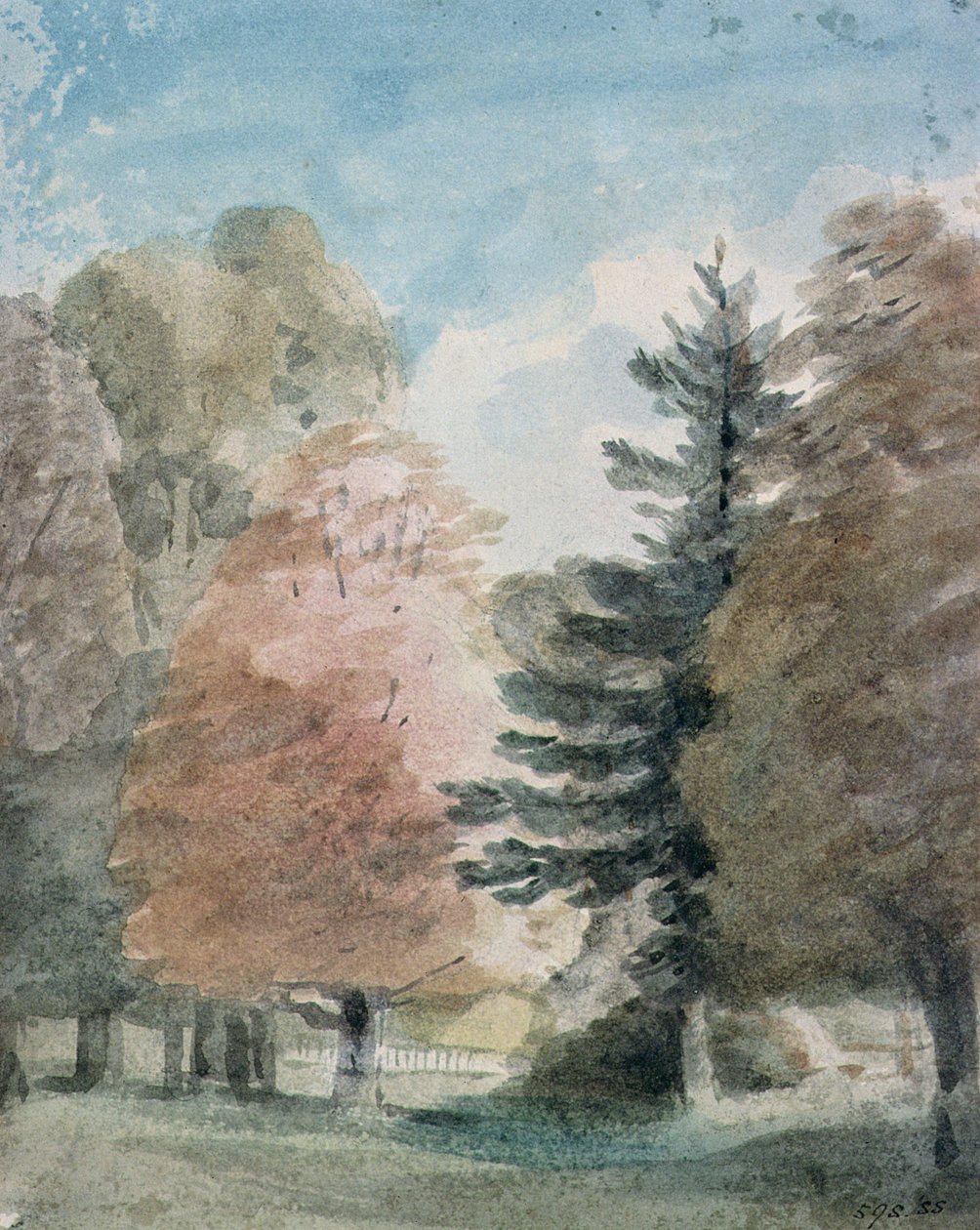 Studie von Bäumen in einem Park von John Constable