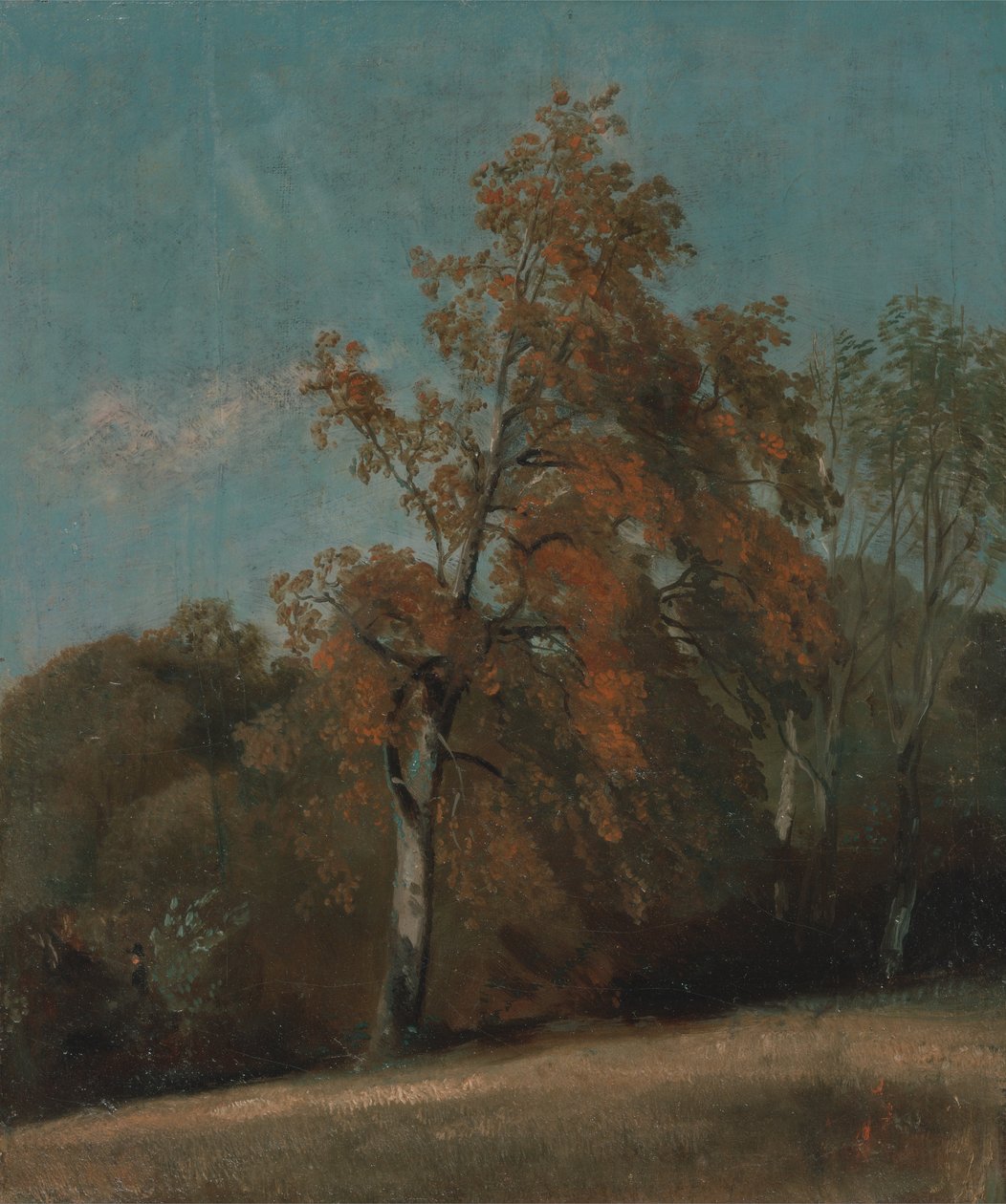 Studie eines Eschenbaums von John Constable