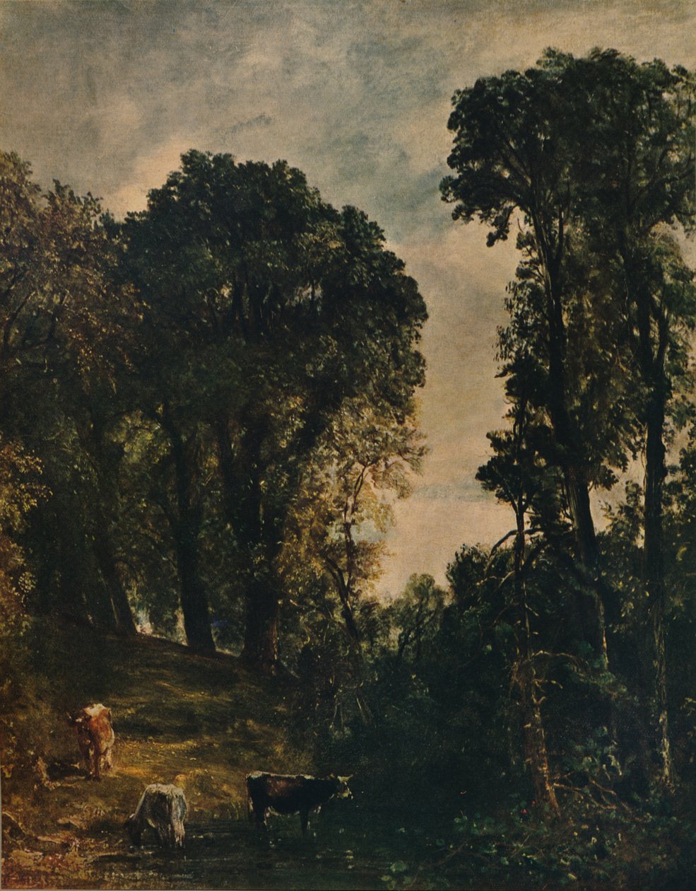 Bäume in der Nähe der Hampstead-Kirche, 1829, ca. 1915 von John Constable