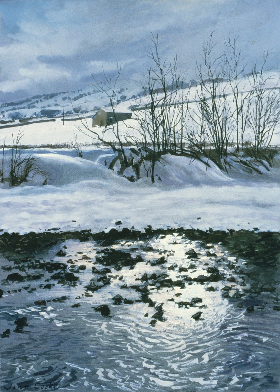 Scheune unter Combescar, 1996 von John Cooke