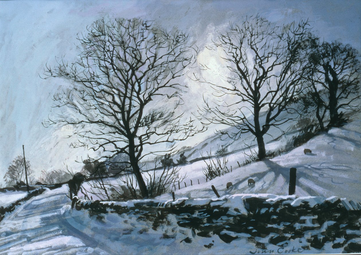 Winterlicher Nachmittag in Dentdale von John Cooke